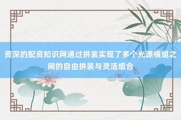 资深的配资知识网通过拼装实现了多个光源模组之间的自由拼装与灵活组合