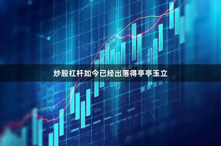 炒股杠杆如今已经出落得亭亭玉立